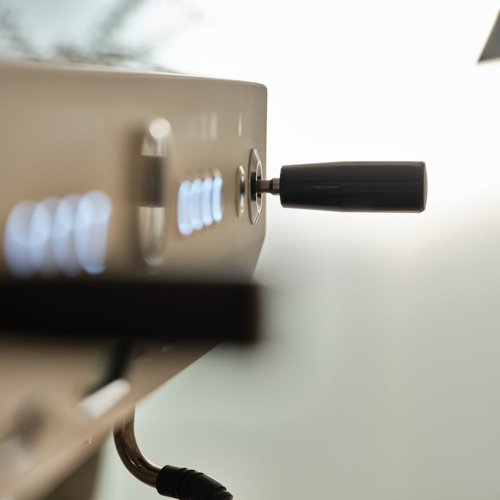 El Rocio Dignity Dual Boiler Espresso Machine