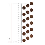 Varia EVO Hybrid Coffee Grinder