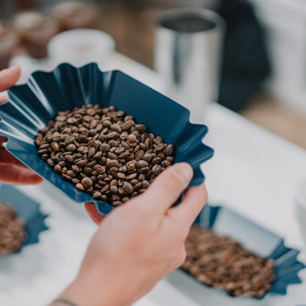 Rhino Bean Tray Blue