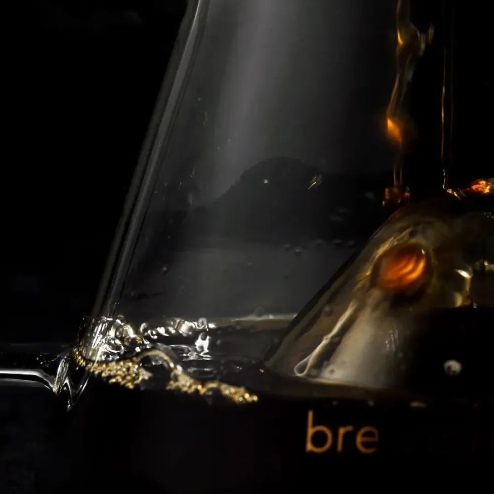 Brewista X Series M Server