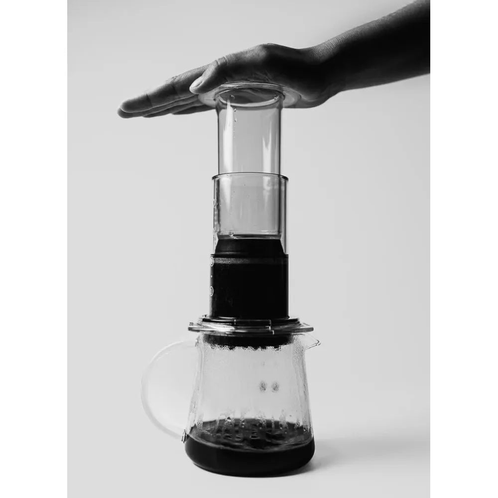 Sibarist Fast Disc 63