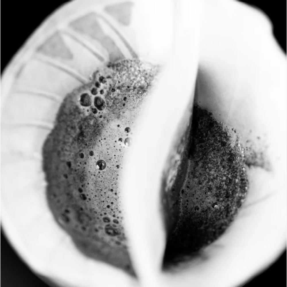 Sibarist Fast Dual Chamber Specialty Coffee Filters