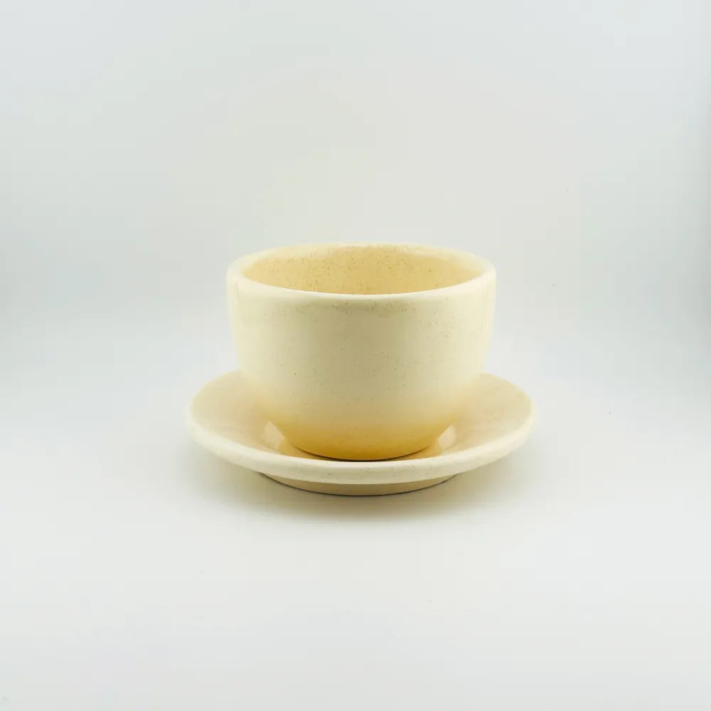 Baadaab Sea Shell Ceramic Cup