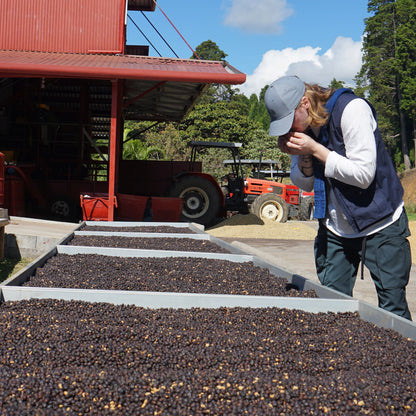 April Volcan Azul Costa Rica Natural SL28 Espresso Coffee