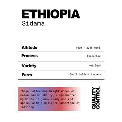 The QC Ethiopia Sidama Anaerobic Coffee Beans