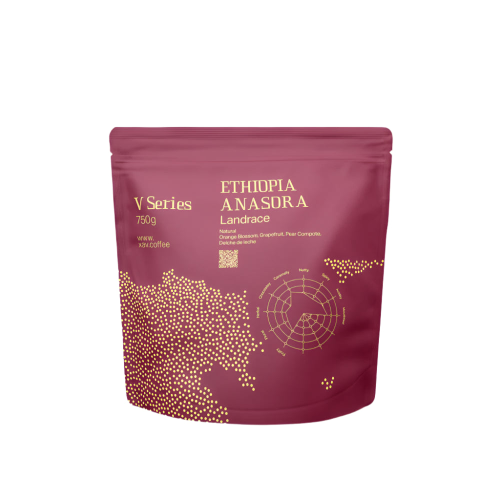 XAV Ethiopia Anasora V Series Coffee