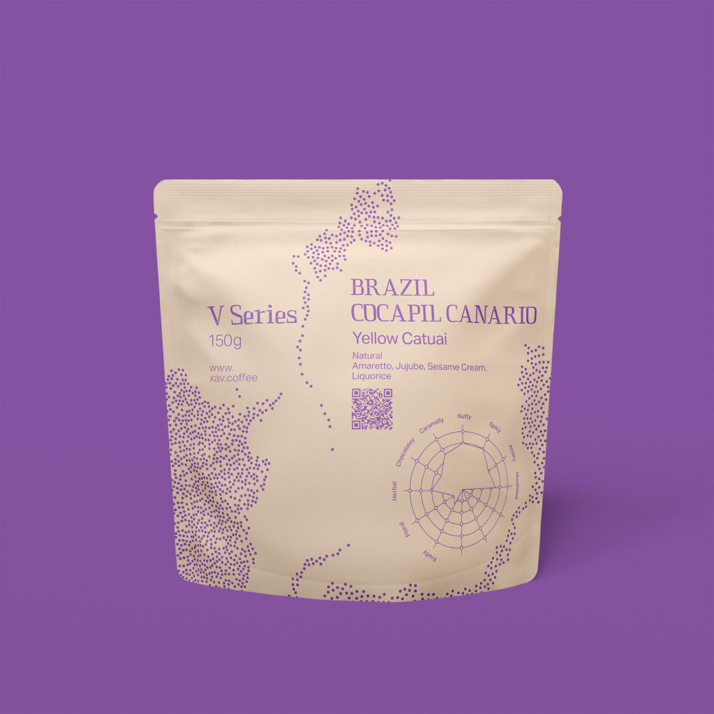 XAV Brazil Cocapil Canario V Series Coffee