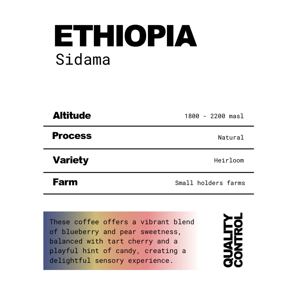 The QC Ethiopia Sidama Coffee Beans