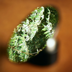 Weber Workshops Looking Glass