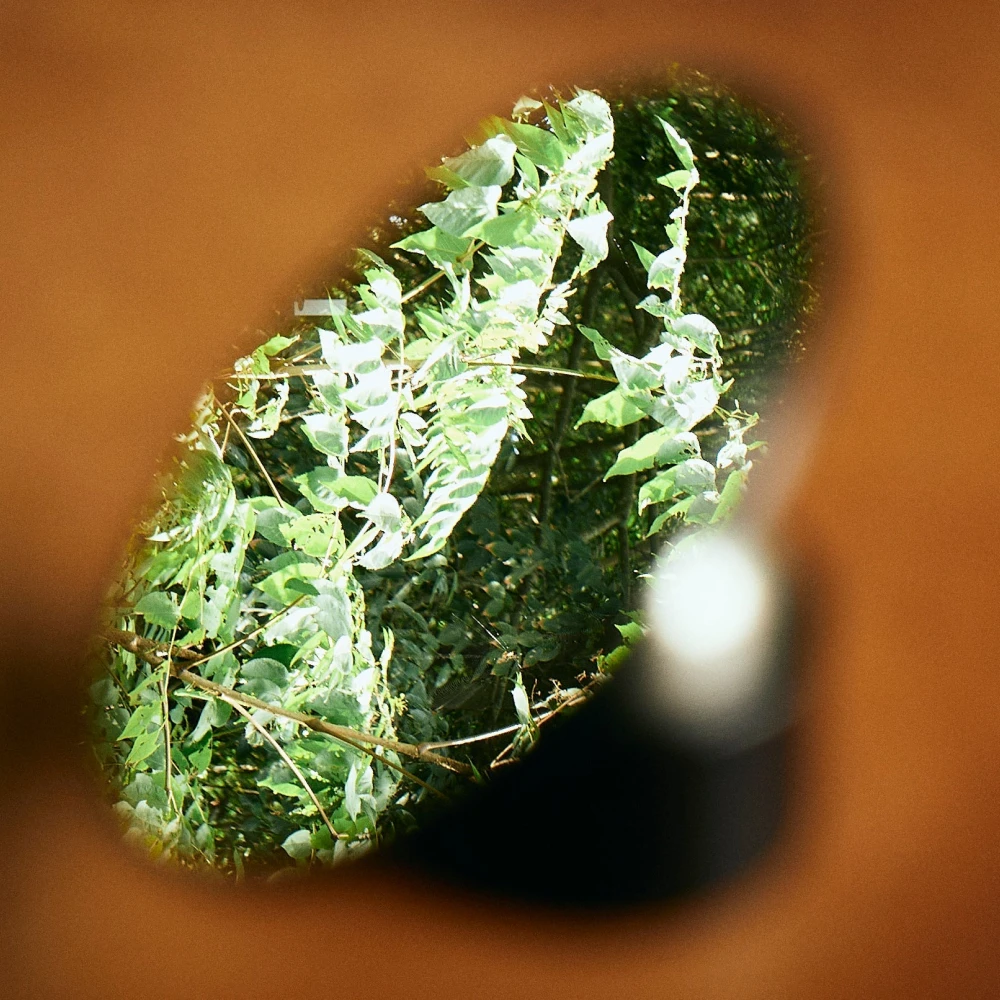 Weber Workshops Looking Glass