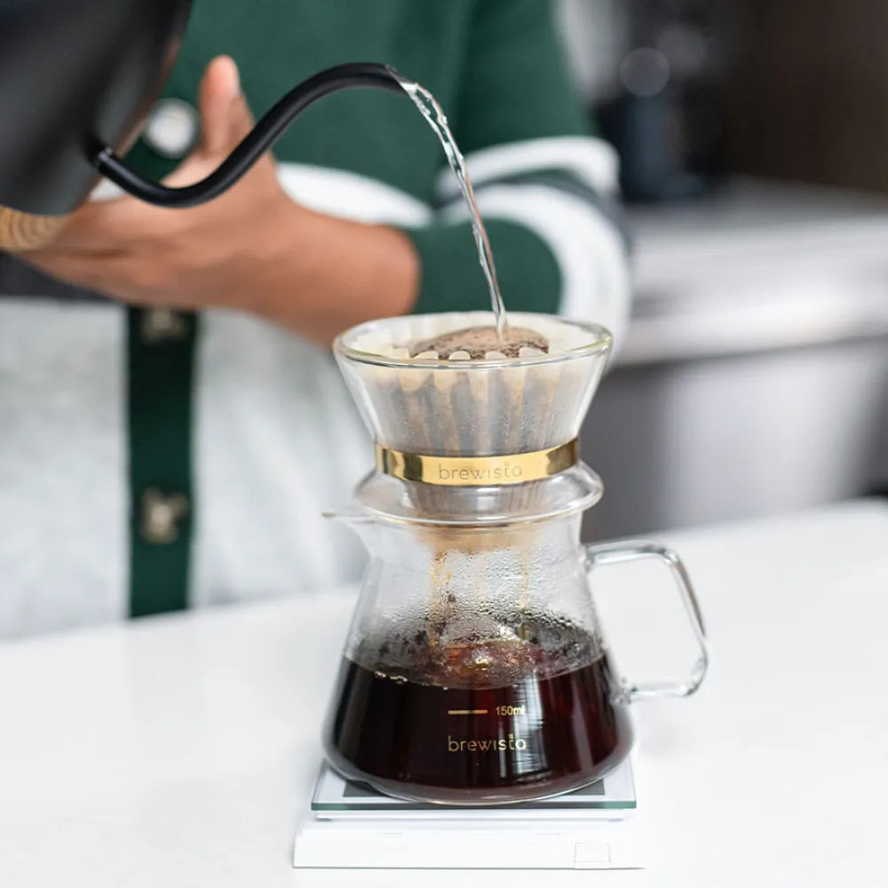 Brewista X Series M Server