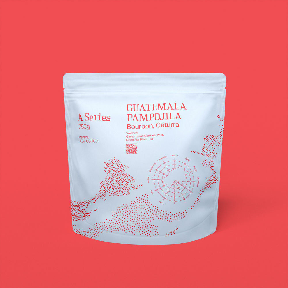 XAV Guatemala Pampojila A Series Coffee