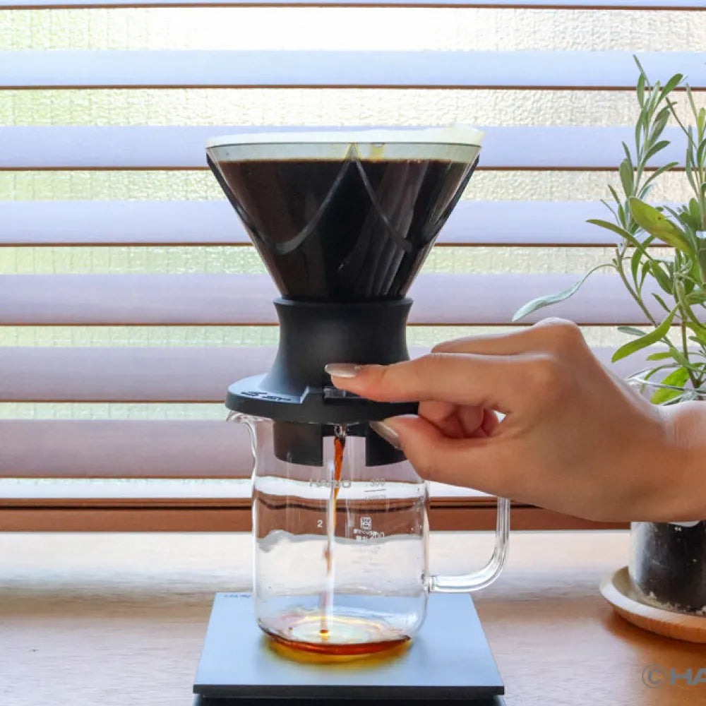 Hario Mugen x Switch Dripper