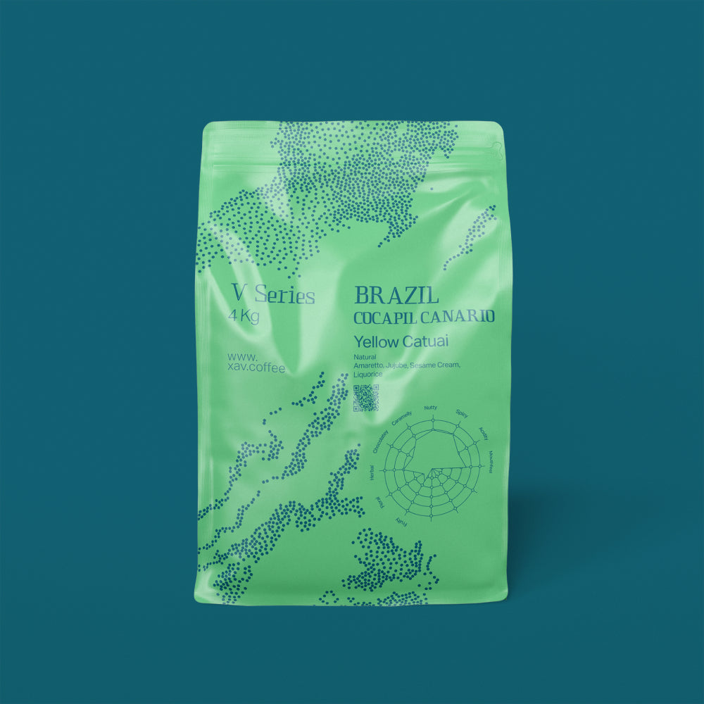 XAV Brazil Cocapil Canario V Series Coffee