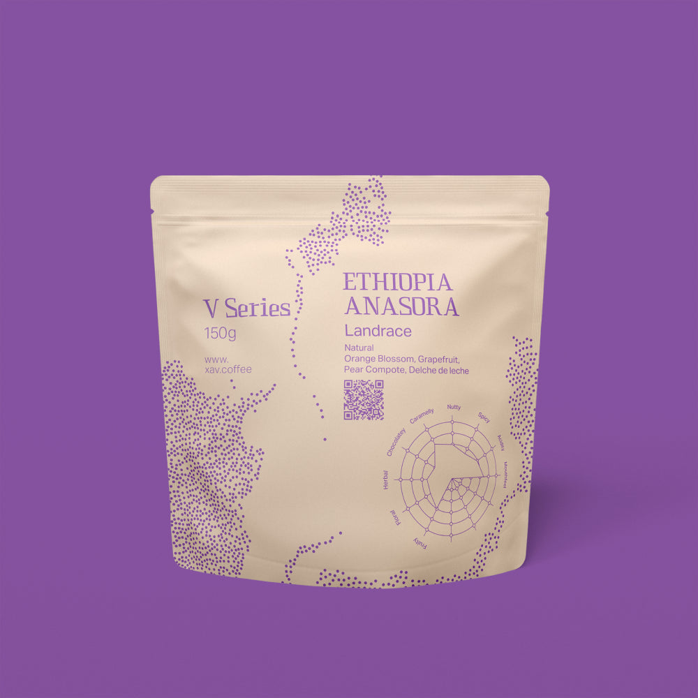XAV Ethiopia Anasora V Series Coffee