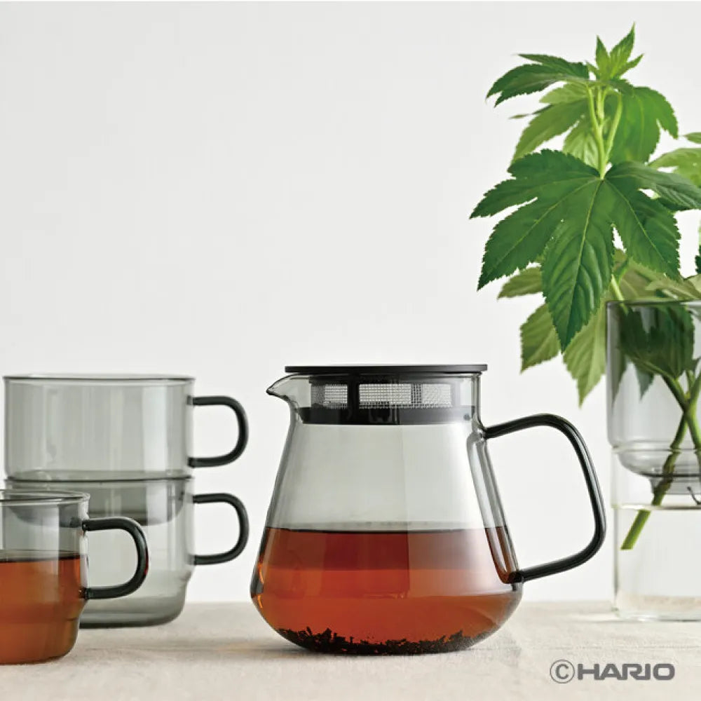 Hario Glass Coffee & Tea Server