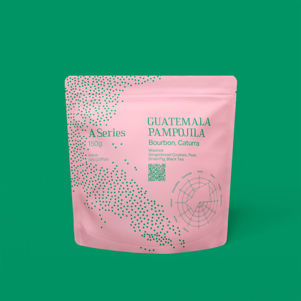 XAV Guatemala Pampojila A Series Coffee