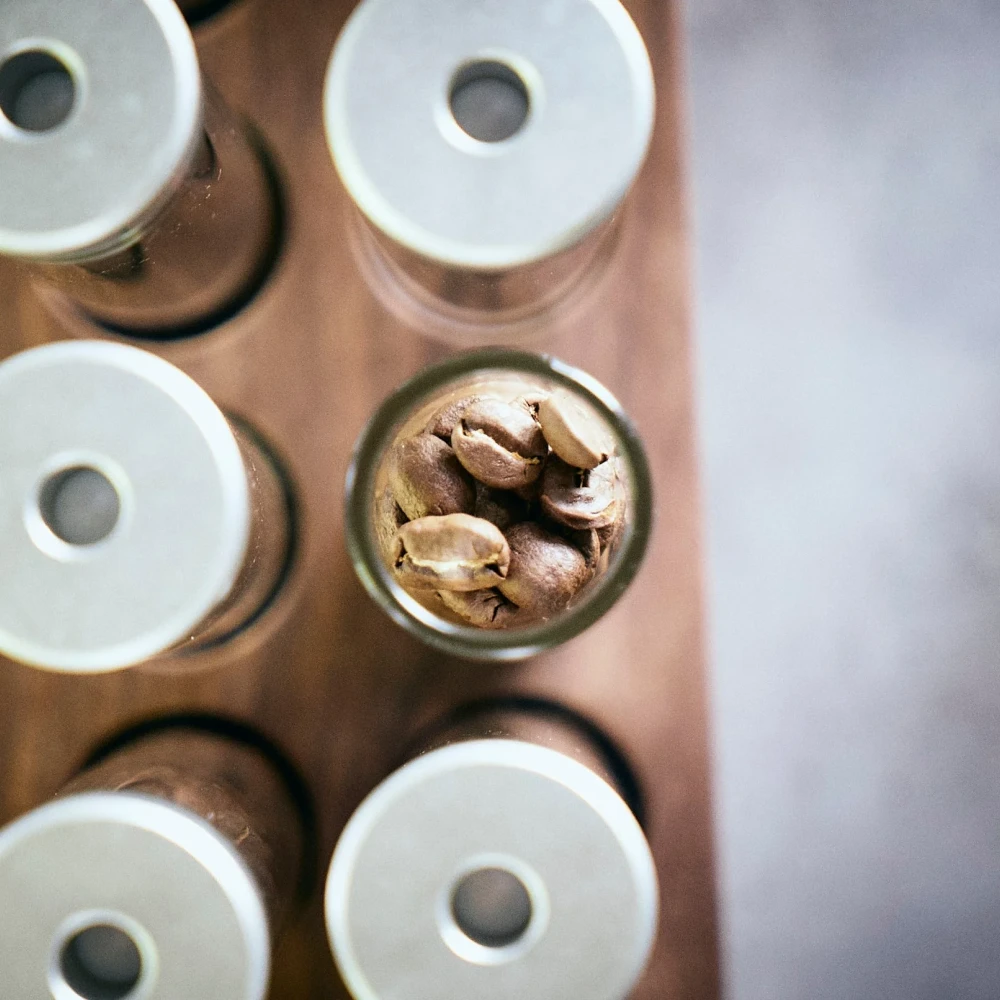 Weber Workshops Bean Cellar Glass