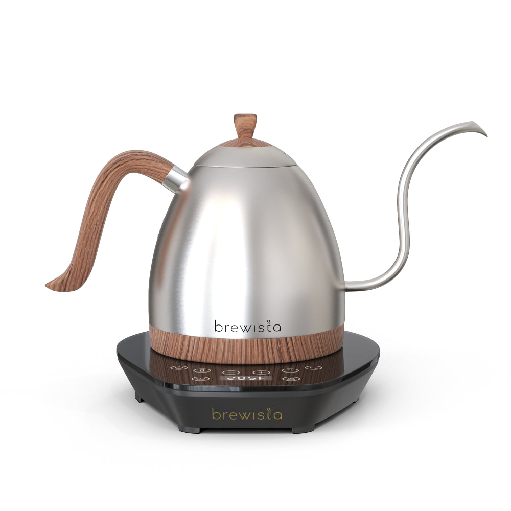 Brewista Artisan Electric Gooseneck Kettle 0.6L