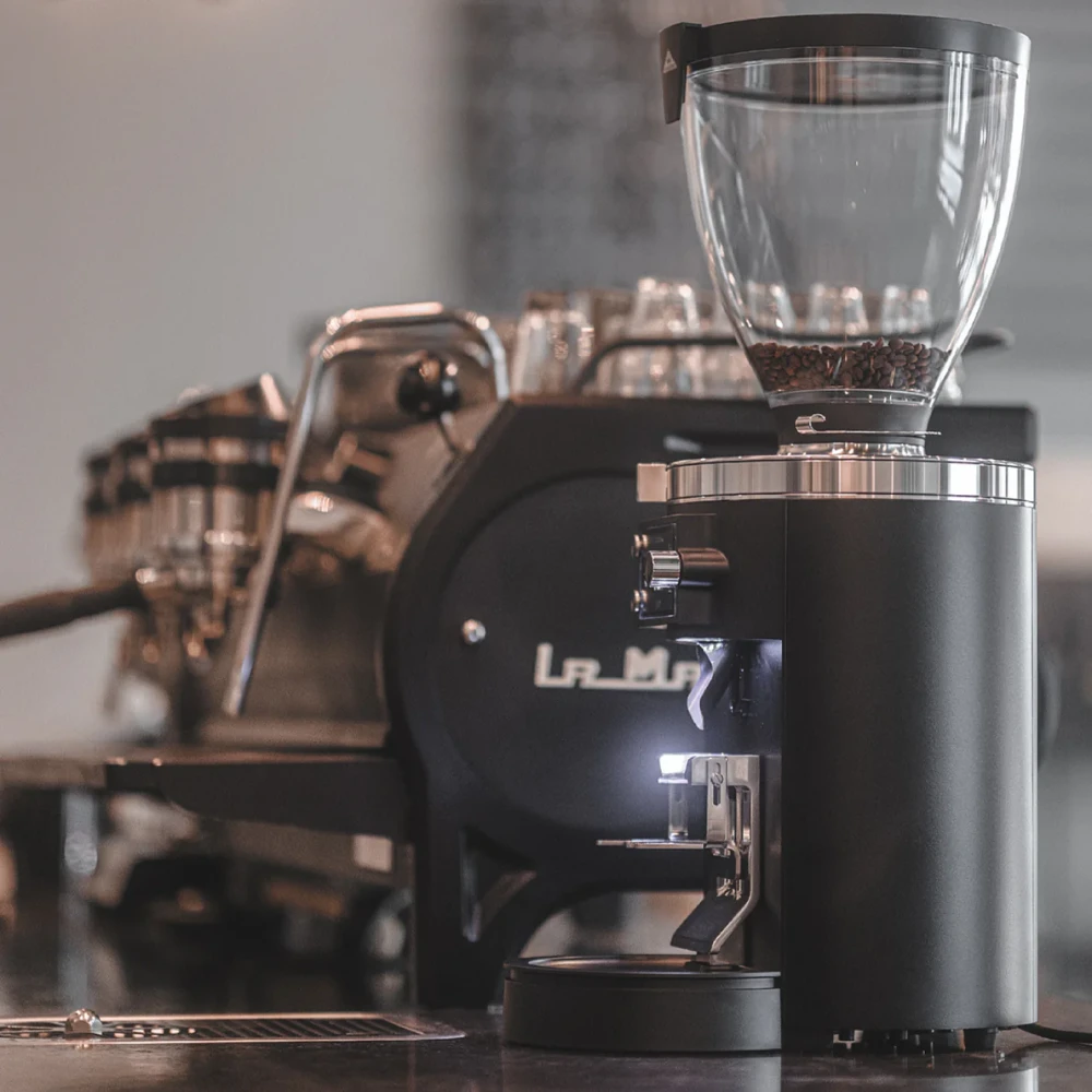 Mahlkonig E80S GBW Grinder