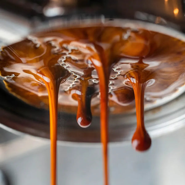 Baratza Vario Plus Coffee Grinder