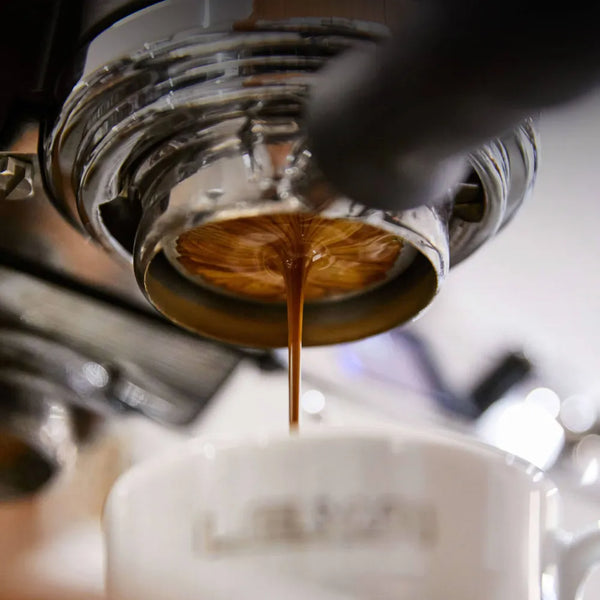 La Marzocco Leva X 1 Group Espresso Machine