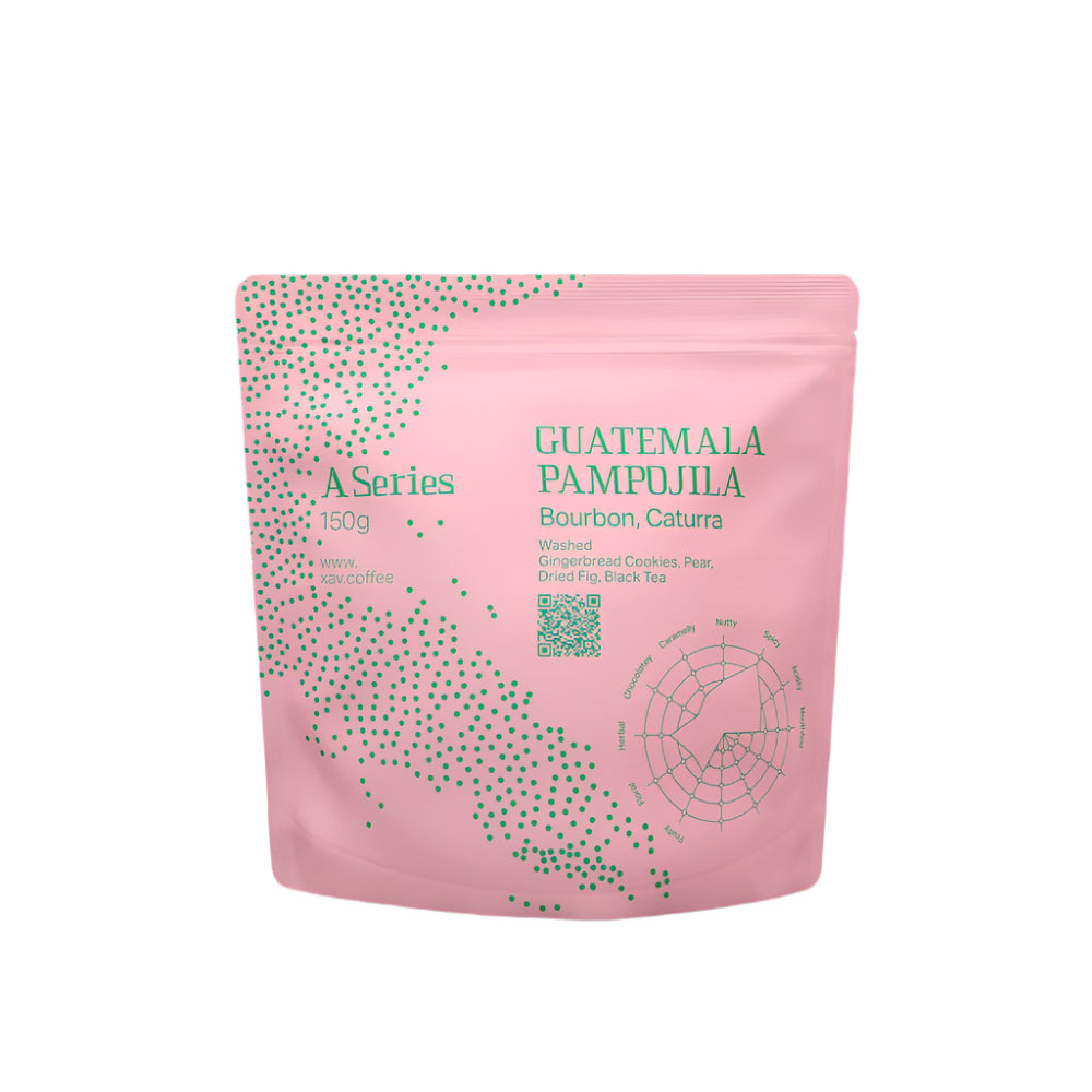 XAV Guatemala Pampojila A Series Coffee