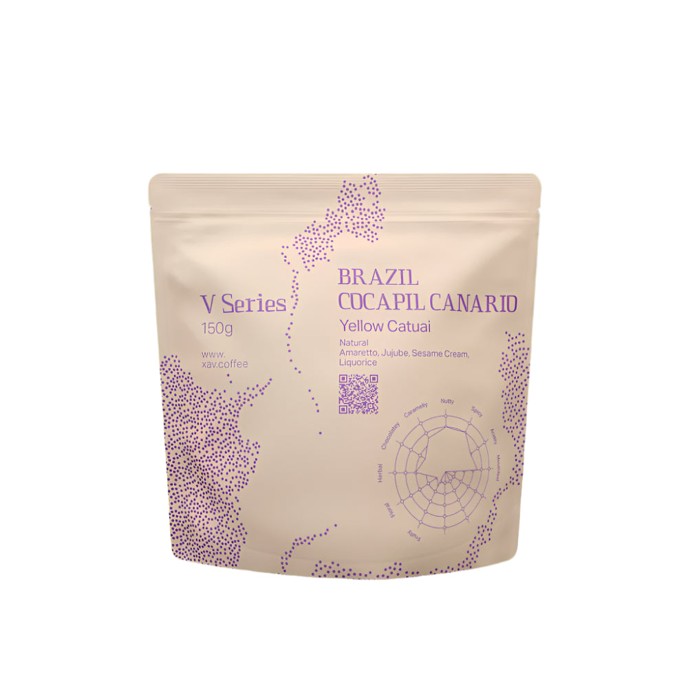 XAV Brazil Cocapil Canario V Series Coffee