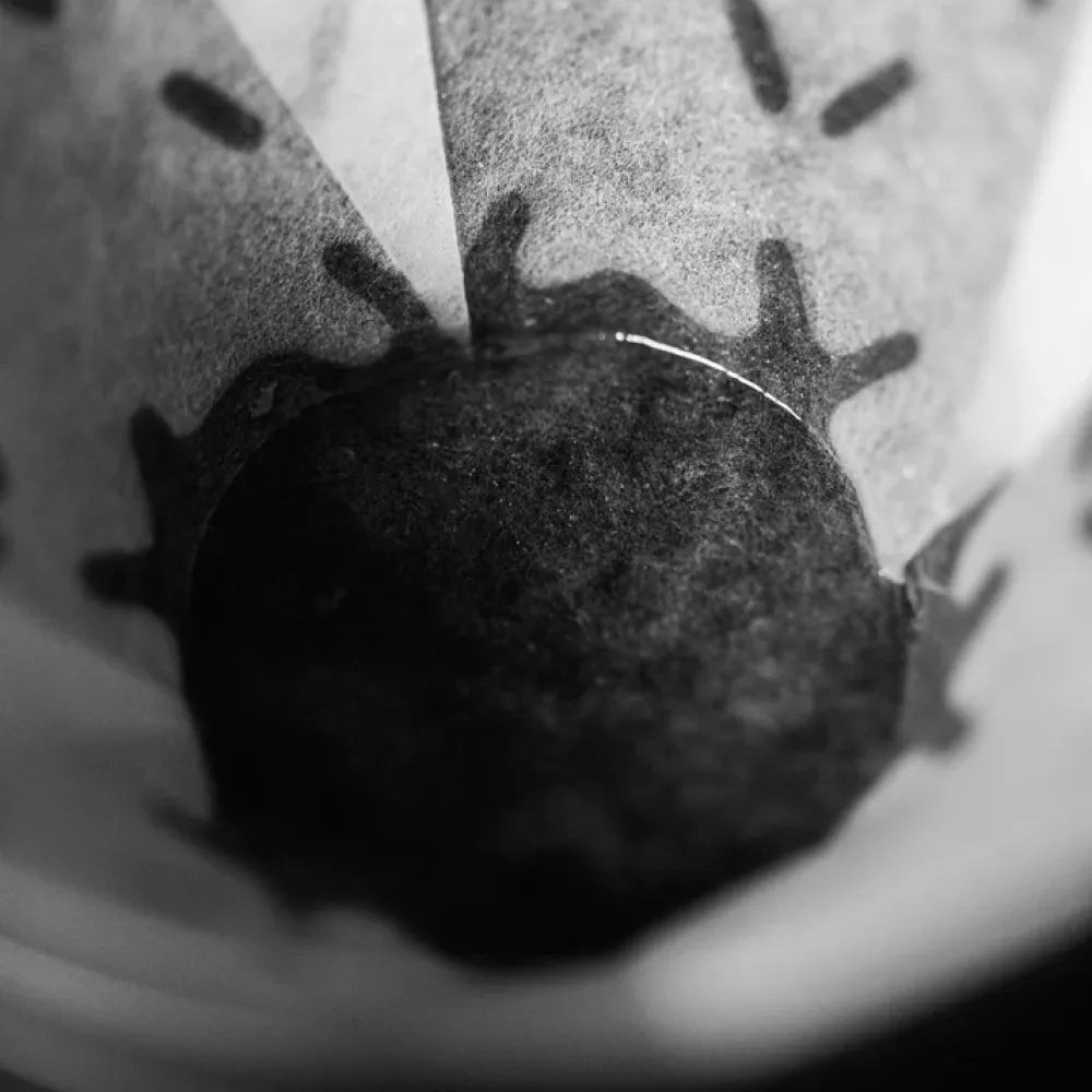 Sibarist B3 Graycano Flat Specialty Coffee Paper Filter