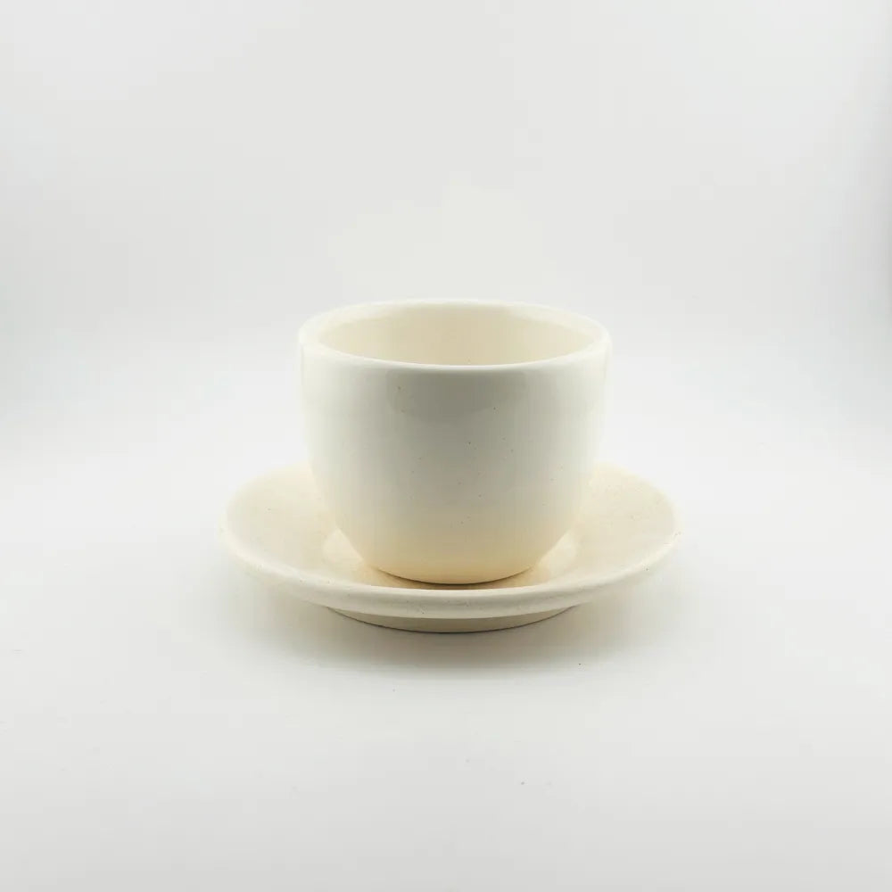 Baadaab Ceramic Cups White Shine